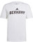 adidas Men's World Cup 2022 Tee, White (Germany), S