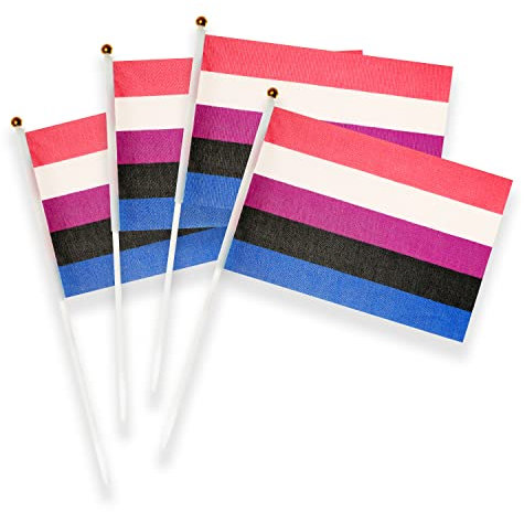 50 Stück Regenbogen-Flaggen aus Kunststoff (Genderfluid-Flagge)