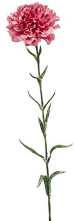 künstliche Nelke Dianthus Spray H. 67cm Altrosa Emerald Kunstblumen