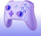 NBCP Controller für Switch, kabelloser Pro Controller für Switch Lite, Switch Remote-Gamepad Joystick, Dual VibrationGyro/Vibration/Turbo/NFC/Wake-Up/Screenshot (Lila)