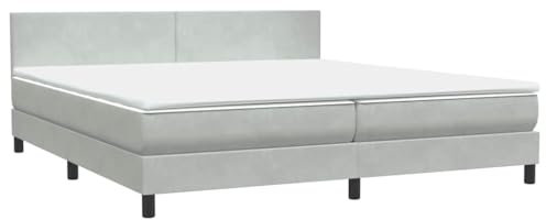 vidaXL Boxspringbett mit Matratze Hellgrau 200x220 cm Samt, Bett, Bett mit Stauraum, Möbel Schlafzimmer, Betten, Bett mit Bettkasten