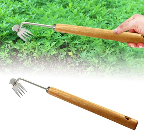 ComedyKing Edelstahl Unkrautstecher Gartengeräte, Gartenarbeit Hand Unkrautstecher, Fugenreiniger Unkraut, Gartenwerkzeug, Unkraut Entferner Gerät, Fugenkratzer Mit Stiel (Langer Holzgriff)