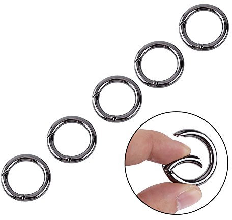 Delaman 5Pcs Mini Mousqueton Rond Pas Facile De Tomber, Snap Ressort Anneau Boucle, Boucle Anneau Porte Clé en Alliage De Zinc Rond Mousqueton Trousseau Crochet Clips, Couleur Argent