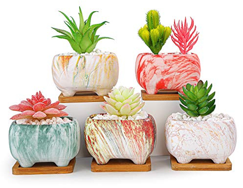 ARTKETTY Succulent Plant Pots - 11.9 CM Rectangular Cactus Plant Pot with Drainage Hole and Trays Modern Ceramic Flower Plant Bonsai Pot for Windowsill, Office, Home/Garden Decor(Set of 5)