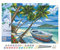 Figured'Art Peinture par Numéro Adulte avec Cadre Barque sous les Cocotiers - Activité Manuelle Kit de Loisir Créatif DIY Numéro d'Art Complet - 40x50cm toile tendue sur châssis