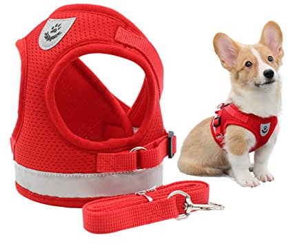 MYKOMI Comfort Step-in Cat Harness and Leash Set for Puppies Cats Kitty Escape Proof Pet Vest Harnesses for Small Animals Rabbit/Mouse/Cats (M:3-4.5KG, Red)