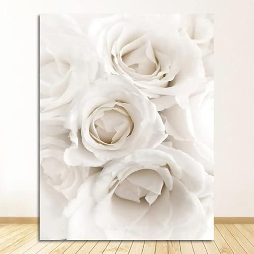 HJOSWVNS Quadri Moderni Soggiorno Rosa Bianca Quadri Cucina Stampa su Tela Stampe da Parete Moderne Quadri per Bagno Stampe su Tela Quadro Moderno Soggiorno Quadri Bagno Senza Cornice 50x70cm/1 Pcs