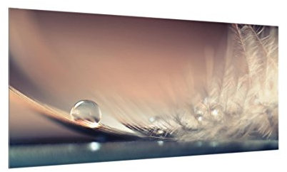 Bilderwelten Spritzschutz Glas - Story of a Waterdrop - Quer 1:2, HxB: 40cm x 80cm