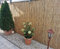Prime Plus Peeled Reed Fence Bamboo Screening Roll Outdoor Garden Fencing Panel Natural 1.5m x 4m