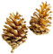 12 Stück Tannenzapfen,Weihnachten Tannenzapfen Dekoration,Natürliche Tannenzapfen Anzapfen Basteln,Christmas Ornaments Christbaumschmuck Weihnachtsschmuck,für Weihnachten Party Deko,Gold 7-9cm