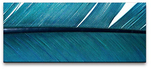 Paul Sinus Feder 100x40cm Wandbild auf Leinwand