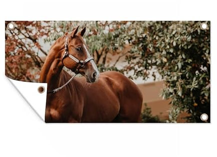 MuchoWow Outdoor-Poster Poster Wanddeko draußen Deko Garten Gartenposter 160x80 cm Pferd - Baum - Halfter