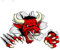 Wilder Stier Kuh Bull Auto Aufkleber Vinyl Heckscheibe Motorrad Autozubehör Pegatinas para Coche