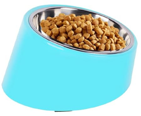 Anti Vomit Cat Bowl | Stainless Steel Cat Bowls | Detachable, Spill Proof, Base, Slanted Cat Food Bowls For Food And Water