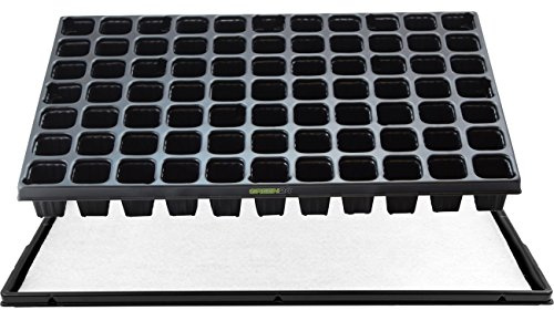 GREEN24 STP Anzuchtset QP77 Topfplatte mit 77 eckígen Töpfen, Anzuchtplatte 33,5 x 51,5 cm mit Untersetzer und Kapillarmatte QuickPot Set QP-77 (77 eckíge Töpfe BxH 40x50mm) Profi Multitopf-Platte