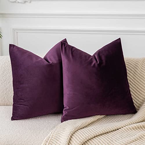 JUSPURBET Auberginenlila Samt-Kissenbezüge 60cmx60cm 2er-Set für Wohnzimmer Couch Sofa Schlafzimmer Dekorative Quadratische Feste Weiche Kissenhüllen mit unsichtbarem Reißverschluss