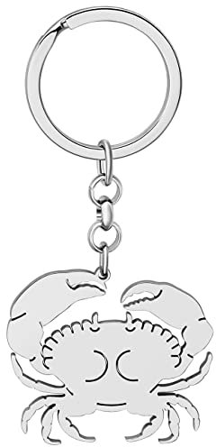 DALANE Stainless Steel Cute Sea Crab Keychains Sea Life Bag Car Key Ring Novelty Gifts Jewelry for Women Girls Charms