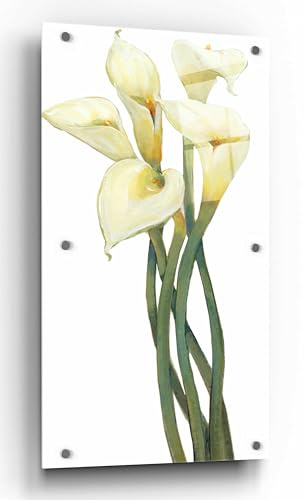 Epic Art 'Callas on Silver I' by Tim O'Toole, Acrylic Glass Wall Art, 24x48