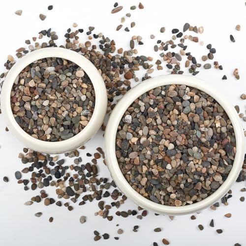 LOOIOOJ 20LB Natural River Rocks, 1/4 Aquarium Gravel, Small Pebbles for Plants, Pea Gravel for Fish Tanks, Decorative Rocks for Gardening, Flower Pots, Vase Fillers, Indoor Fountains (20 LBS)