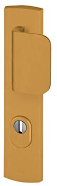 Bricard 9920031 Ensemble de Poignées Blindées sur Plaque EMUST Palière Béquille + Aileron pour Porte d’Entrée (pour Cylindre Européen), Coloris Or