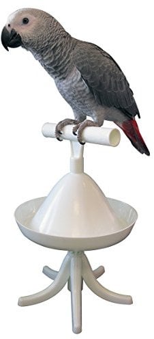 HappyBird | Safety Perch - Der Freisitz für alle Papageien mit vielen Möglichkeiten