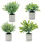 newkaijian Plantes artificielles - Mini Eucalyptus et Olivier - 4 pièces pour décoration dans la Cuisine, Le Salon et Le Bureau - Facile d'entretien et Durable (4 pièces-002)