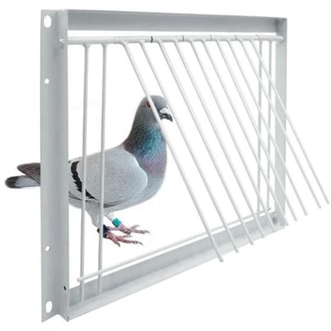 Xnuiasqe Birds Catch Cage Pigeon Loft Door Pigeon Loft Door Single Entrance Removable Pigeon Entrance Door Trapping Trap Door