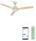 CREATE / WINDCUP/Ventilador techo con luz verde aspas madera natural Wifi y mando/Función verano-invierno, 3 temperaturas luz, 6 velocidades, programable 1 a 4h, 2 alturas, 40W, Ø132 cm