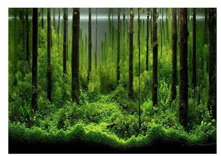 Poster pour aquarium - Colle colorée - Pour aquarium - 122 x 46 cm