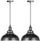 iDEGU 2 Stück Pendelleuchte Industrielle Vintage Pendellampe E27 Retro Lampe Metall Hängelampe für Küche Esszimmer Wohnzimmer Restaurant, Ø29cm (Silber Rost)