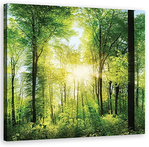 Feeby Bild auf Leinwand Sonnenstrahlen zwischen den Bäumen Wald 40x40 cm Kunstdruck modern Blätter Natur Zweige Grün