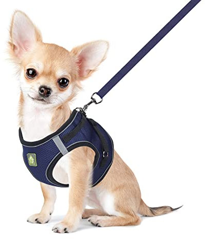 FEimaX Hundegeschirr mit Leine für Kleine Mittele Hunde Katzen Weich Mesh Welpengeschirr Atmungsaktive Brustgeschirr Verstellbare Reflektierend No Pull Weste Chihuahua Katze