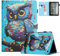 XFDSFDL® Schutzhülle für Amazon Fire HD 10 (2023 13th Gen) (10,1 Zoll) PU Leder Hülle Flip Cover Farbige Eulen Muster mit Ständer Taschen Case Auto Aufwachen/Schlaf Ledertasche 17