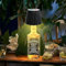 Funmo Lampade per Bottiglia, Lampada per Bottiglia LED Ricaricabile, Cordless Bottle Lamp, Bottiglia di Vino Lampada,Lampada Led per Bottiglia,per Sala da Pranzo, Camera da Letto (Nero)