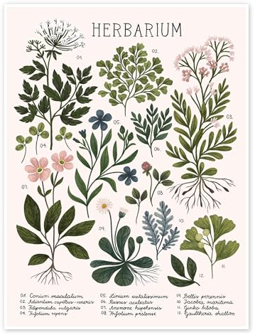 Posterlounge Herbarium Poster