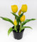 Seidenblumen Roß Tulpen Real Touch 24cm im Topf ZF Kunstpflanzen künstliche Pflanzen Tulpentopf (Gelb)