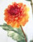 artplants.de Kunst Chrysantheme Ryon, orange, 70cm, Ø3-5cm - Künstliche Chrysantheme