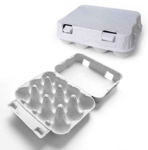 eivolution 12er Wachteleierschachteln aus Pappe |60 Stück | Eierkartons für Wachteleier aus Recycling Material
