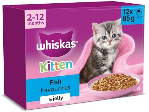 WHISKAS Junior Wet Cat Food in Jelly 12x85g Fish Favourites (Pack of 4)