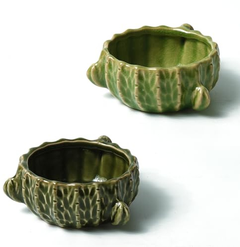 Zhilishu Cuenco de comida para hámster, 2 paquetes de cuencos de comida y agua para cactus, cuenco de cerámica para alimentos para animales pequeños, jerbo, enano, hámster, rata, conejillo de indias