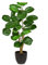 Gefälschte Pflanze in schwarzem Topf 68cm hoch Künstlicher Aralia Balfour Baum, Künstlich Aralia Polyscias Fabian Pflanze, Gefälschte Fiederaralie Topfpflanze für Zuhause Büro Wohnzimmer Dekoration