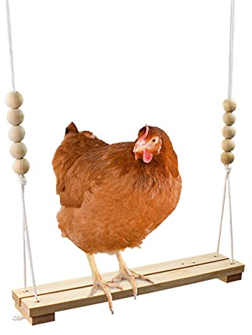 Chicken Swing Toy for Coop Handmade in USA!!! Natural Safe Wooden Accessories Large Durable Perch Ladder for Poultry Run Rooster Hens Chicks Pet Parrots Macaw Entertainment Stress Relief for Birds