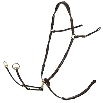 LeMieux Breastplate with D-Ring Attachment - Havana/Brass - Full | Adjustable - Leather - Detachable Martingale