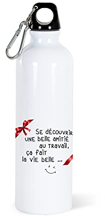 Gourde 750ml Collègue Bouteille d’Eau Aluminium Réutilisable Ecologique avec Mousqueton. Idée Cadeau Original Humour Homme Femme Retraite Mutation Pot Départ Sport Voyage Bureau Anniversaire Noël