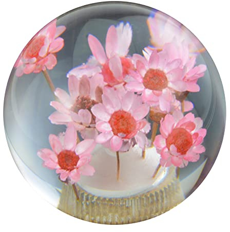Abfer Flower Shifter Knob for Pink Round Car Gear Stick Head Unique Shift Handle Ball Fit Most Automatic Manual Vehicles Trucks
