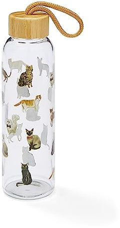 Cooksmart 500ml Glass Water Bottle | Eco Friendly Glass Bottle With Lid & Carry Handle | Glass Bottles For Office, Sports or On The Go - Curious Cats