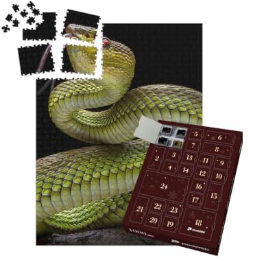 puzzleYOU: Puzzle-Adventskalender | „Grüne Goldhaut-Vipernatter“ – aus der Puzzle-Kollektion Schlangen, Tiere in Dschungel & Regenwald