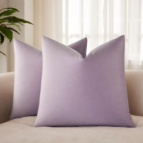 JUSPURBET Velvet Pillow Covers Set of 2 Decorative Throw Pillow Covers for Couch Sofa Bed Soft Cushion Covers with Hidden Zipper for Living Room Home Decor,Lilac,14x14 inch