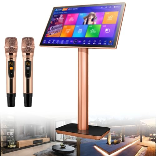 Machine de karaoké professionnelle Lecteur de karaoké avec microphone sans fil Écran tactile capacitif 19,5/22 pouces Lecteur de cinéma maison en ligne et téléviseur pour fête à domicile,19.5inch-1TB