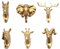 Backbayia 6 Pcs Crochet de Tête d'animal en Résine Cintres Vêtements Décoratif Patères portemanteaux